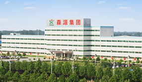 (中国)科技公司概况